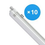 Multipack 10x Philips LED Feuchtraumleuchte CoreLine WT120C G2 42.9W 6000lm - 840 Kaltweiß | 150cm 