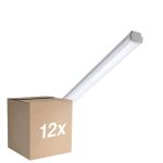 Multipack 12x Philips LED Feuchtraumleuchte WT060C 20W 2500lm - 840 Kaltweiß | 120cm