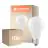 Multipack 10x Ledvance Classic LED E27 Birne Fadenlampe Matt 17W 2452lm - 840 Kaltweiß | Ersatz für 150W