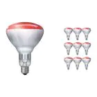 Multipack 10x Philips BR125 IR 250W E27 230-250V Rot